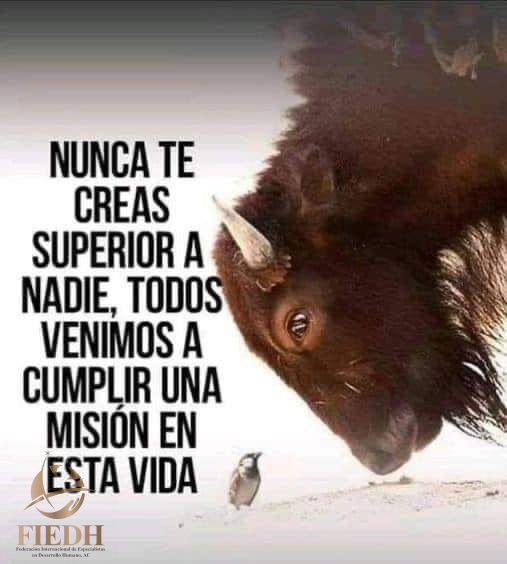 acfiedh's tweet image. Nunca te creas superior a nadie ♥️😃
.
.
.
.
.
.
.
#nuncatecreassuperior