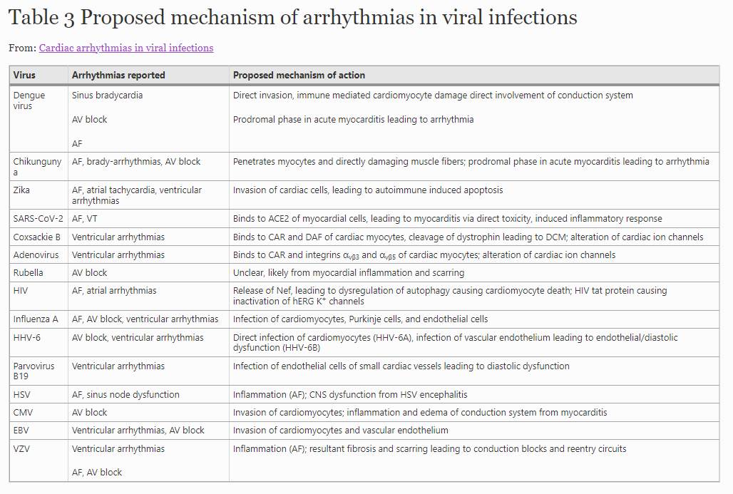 JICE (@jice_ep) on Twitter photo 🚨Newest #FreeRead Article in
<a href="/JICE_EP/">JICE</a>
Cardiac Arrhythmias in Viral Infections
by Paul Lee, Hasan Garan, <a href="/ElaineWanMD/">Elaine Wan</a> Brian Scully, <a href="/abivianoMD/">Angelo Biviano</a> & <a href="/Hirad7/">Hirad Yarmohammadi</a>
Review article discusses 15 viruses & potential arrhythmogenic effects
☕️📖 #FreeRead: rdcu.be/c7RtQ
#EPeeps 🚨Newest #FreeRead Article in
<a href="/JICE_EP/">JICE</a>
Cardiac Arrhythmias in Viral Infections
by Paul Lee, Hasan Garan, <a href="/ElaineWanMD/">Elaine Wan</a> Brian Scully, <a href="/abivianoMD/">Angelo Biviano</a> & <a href="/Hirad7/">Hirad Yarmohammadi</a>
Review article discusses 15 viruses & potential arrhythmogenic effects
☕️📖 #FreeRead: rdcu.be/c7RtQ
#EPeeps