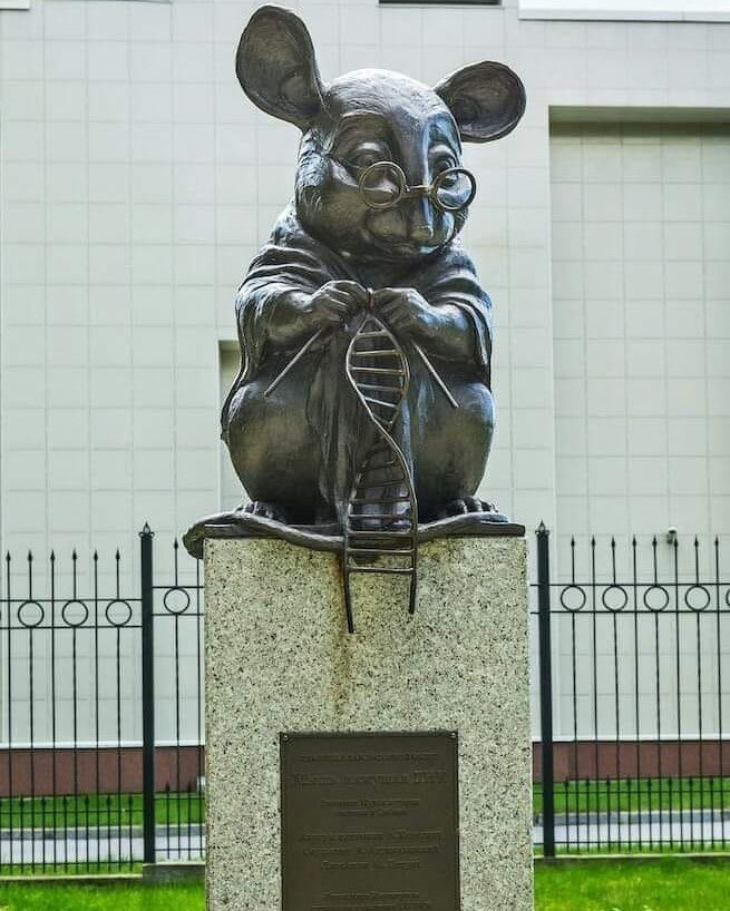Esta escultura, ubicada en Rusia, es un monumento a los ratones que han perdido la vida en aras de la ciencia 🐭

El ratón de laboratorio es lo que se conoce como un modelo biológico adecuado para realizar pruebas muy importantes, entre las que destacan las farmacológicas, ya que