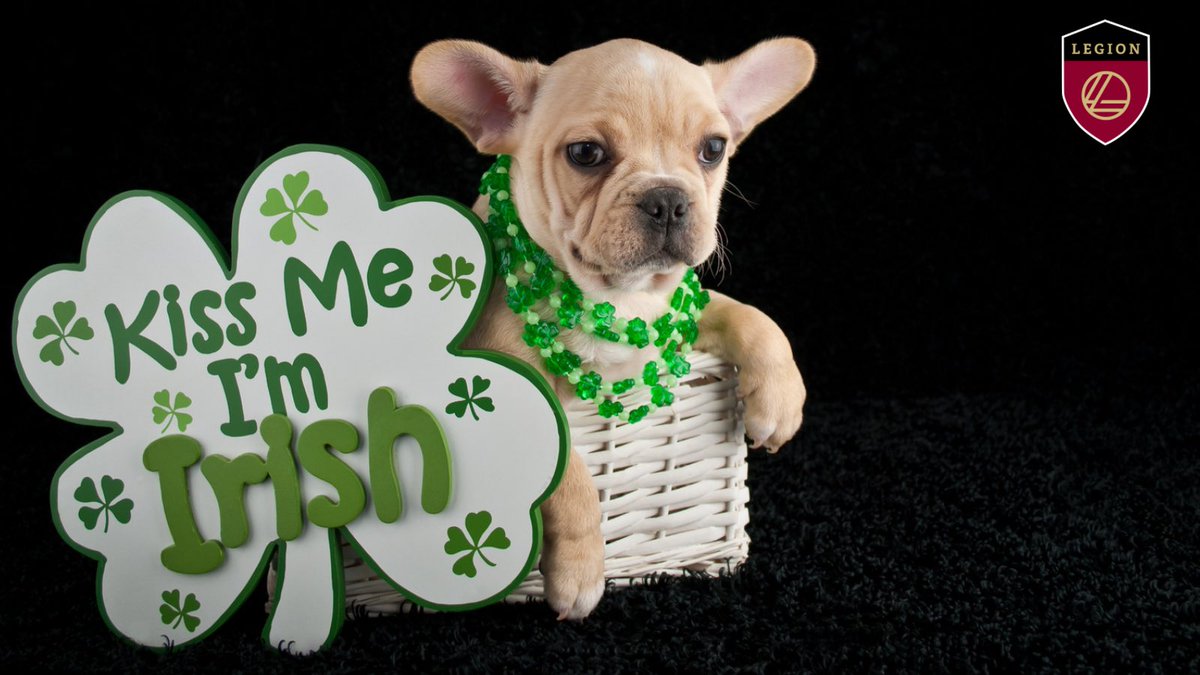 legionlogistics's tweet photo. Happy St. Patricks Day! 🍀 https://t.co/e4HCOMZMpx