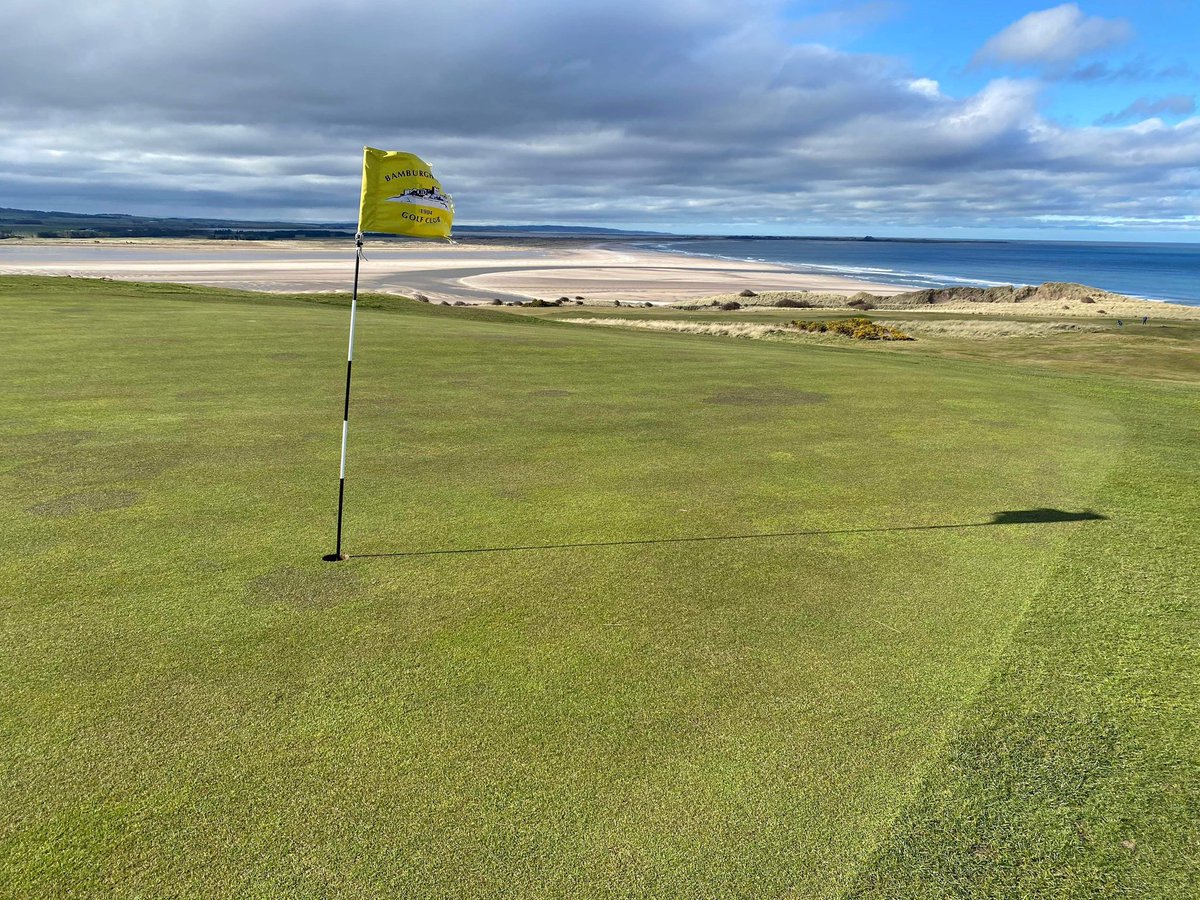 BGreenkeeping's tweet photo. Greens are looking great as the season fast approaches ⛳️🏌️‍♂️☀️☔️💨 https://t.co/OoxXtY8ScZ