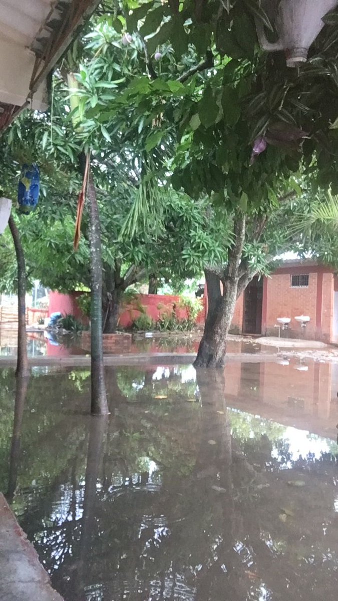 DAPS_Abogado's tweet photo. Lamentable las condiciones de las instalaciones de la Escuela Madre Laura cada vez que llueve. Imposible que nuestros niños y niñas reciban el proceso de enseñanza y aprendizaje @Mineducacion @GobdelCesar @CesarEducacion @ATamalameque https://t.co/JpGOXqyFr0