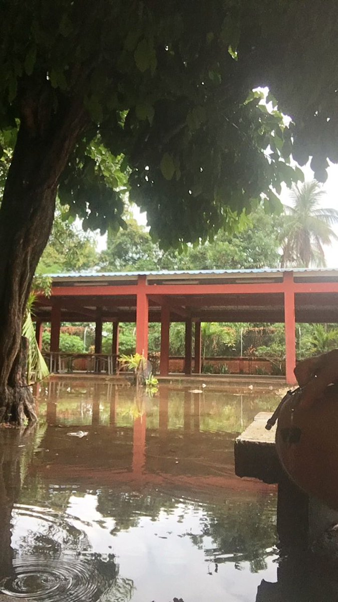 DAPS_Abogado's tweet photo. Lamentable las condiciones de las instalaciones de la Escuela Madre Laura cada vez que llueve. Imposible que nuestros niños y niñas reciban el proceso de enseñanza y aprendizaje @Mineducacion @GobdelCesar @CesarEducacion @ATamalameque https://t.co/JpGOXqyFr0