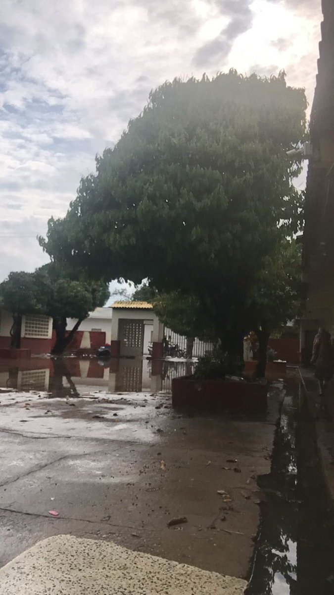 DAPS_Abogado's tweet photo. Lamentable las condiciones de las instalaciones de la Escuela Madre Laura cada vez que llueve. Imposible que nuestros niños y niñas reciban el proceso de enseñanza y aprendizaje @Mineducacion @GobdelCesar @CesarEducacion @ATamalameque https://t.co/JpGOXqyFr0