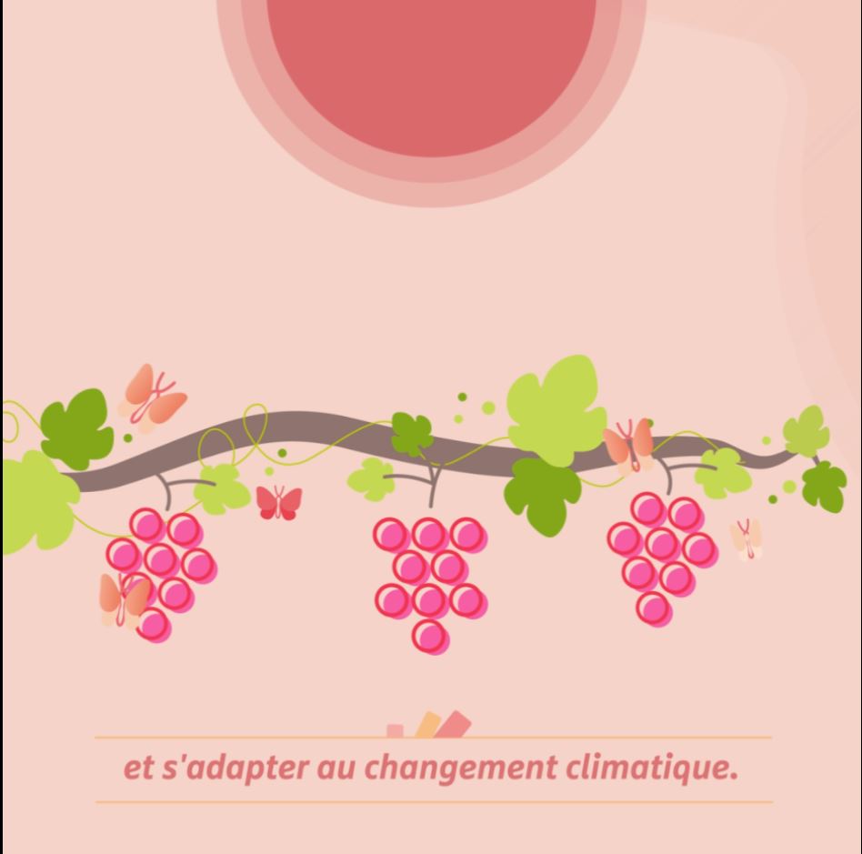 EVA ou les cépages de demain …

Première animation visuelle pour un projet capital en Provence

lnkd.in/gMsNbjvM

#vignevinfrance #vinsdeprovence Coteaux-varois-en-provence #maregionsud #var #StudioB Résonance Communication #centredurose