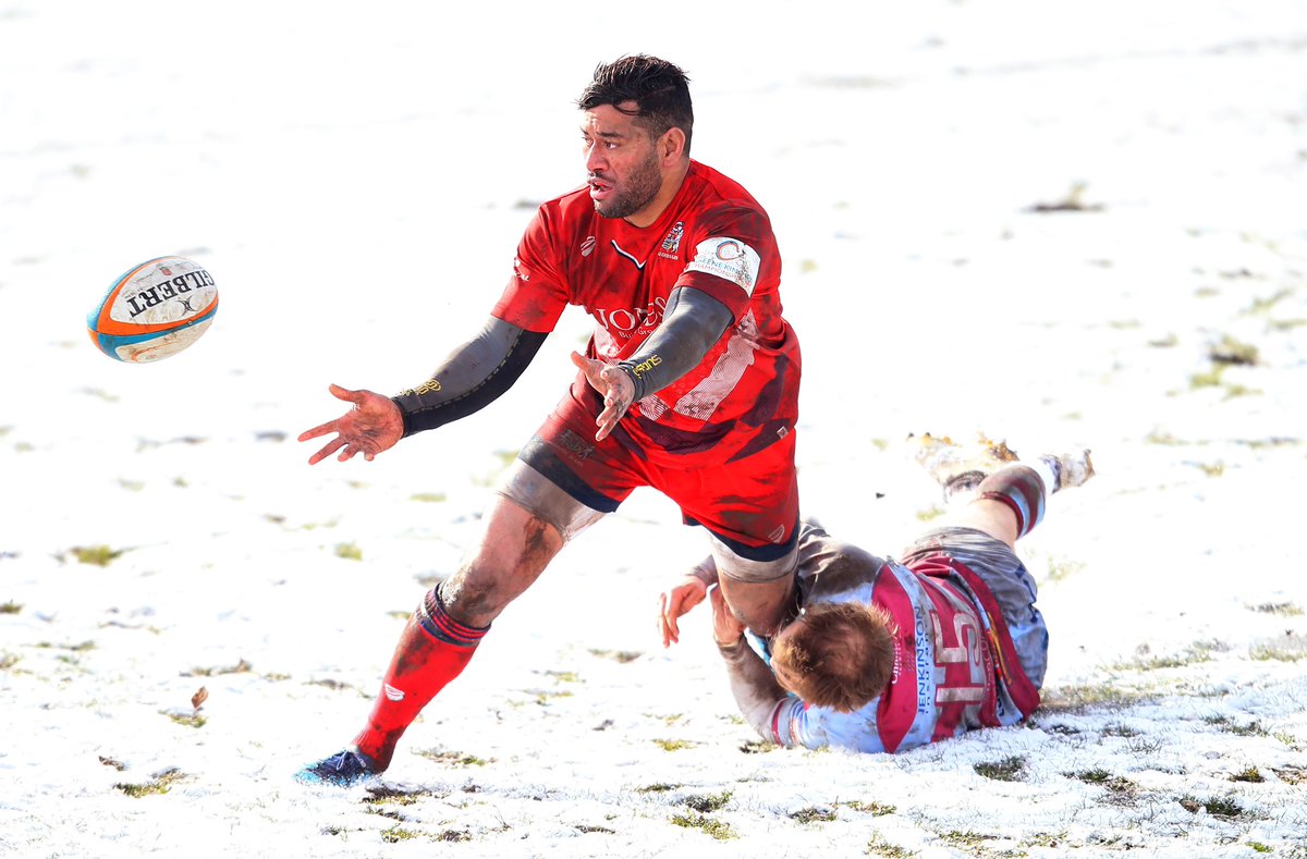 Bristol Bears 🐻 tweet media