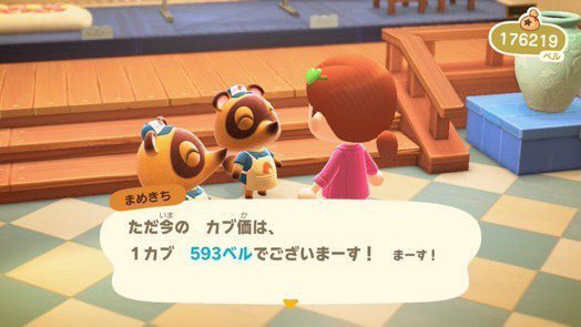 atumori_shiichi's tweet photo. カブ開放連続221日目
⭐️これから⭐️

カブ価 593ベル 開放致します！
必ず画像を確認の上ご来島お願いします！

🗝 DQJBR

https://t.co/DmBH3pJ9t4

YouTubeもしているので是非登録よろしくお願いします！

 #あつ森  #あつ森カブ価高騰   #カブ価高騰   #カブ活  #島開放 https://t.co/uCNOrWbkKR