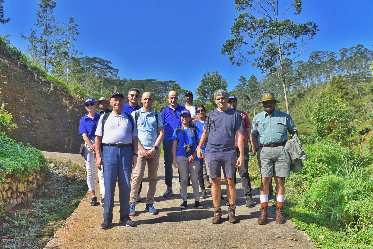 I experienced today the #PekoeTrail, a 300km hiking trail supported by @EU_in_Sri_Lanka 🇪🇺 & which aims to provide new sources of income to the local communities in the #centralprovince & promote #sustainabletourism. A breathtaking & uniquely 🇱🇰 experience. #DiscoverSriLanka