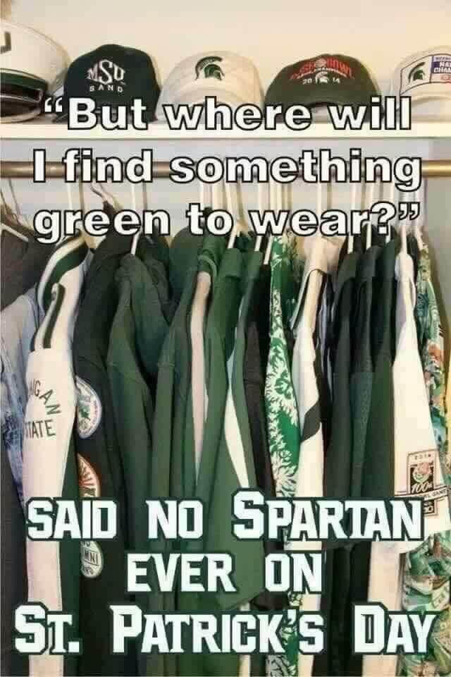 Mrs. Seifert tweet media