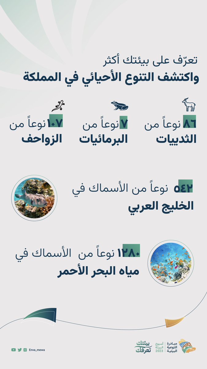 saeedalghool's tweet photo. ثقافية بيئية ☺️
#أسبوع_البيئة_2023 #بيئتك_تعرفك https://t.co/7cBuZtXlad