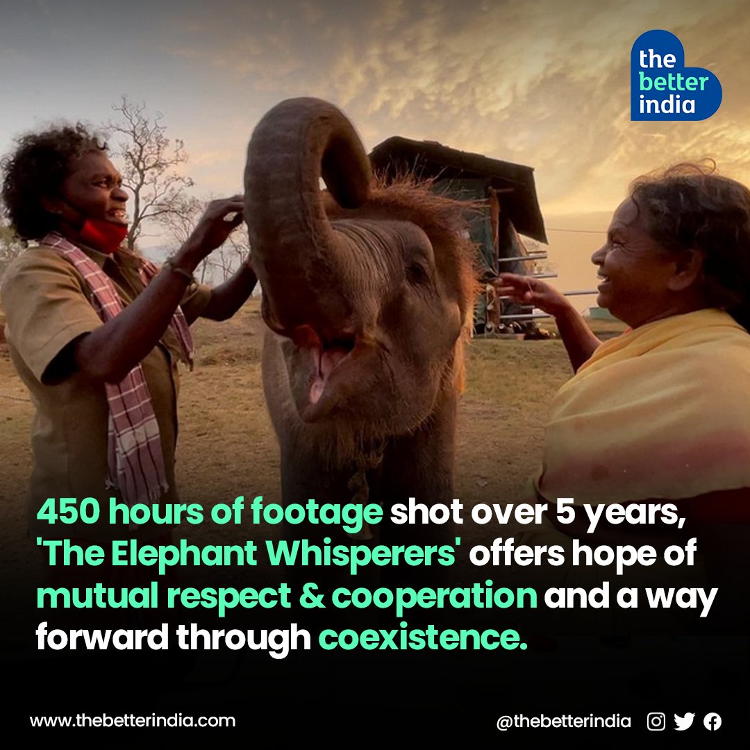 thebetterindia's tweet image. &quot;The documentary &apos;Elephant Whisperers&apos; lets viewers understand the elephants and their carers with minimal external interpretation. 

#TheElephantWhisperers #ShortDocumentary #Oscars #TamilNadu