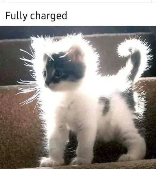 WholesomeMeme's tweet photo. https://t.co/DETE60hEEP
