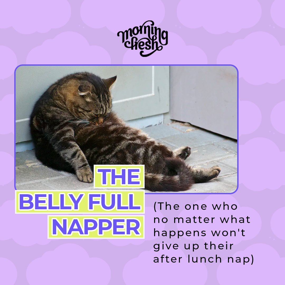 MorningFreshInd's tweet photo. Tag that sleeper friend/spouse/partner/colleague of yours who will go to any length (and angles) to get a good snooze!
PS: take this as a reminder to sleep and rest as intensely as you party! 

#HappySleepDay #MorningFresh #MorningFreshSleep #SleepBetter #SleepSupplement https://t.co/lOd1LguTNQ
