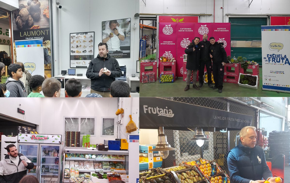De nuevo una semana más hemos recibido en #LaEscueladelaFruta proyecto de <a href="/mercamadrid_hoy/">Mercamadrid</a> a escolares que han aprendido curiosidades de las #frutas y #hortalizas además de visitar a los mayoristas <a href="/frutaseloy/">frutas eloy</a> <a href="/Laumont_/">Laumont</a> <a href="/NaranjasBeni/">Naranjas Beni</a> <a href="/Frutaria_es/">Frutaria</a> 

#colaboración <a href="/Asomafrut/">ASOMAFRUT</a>