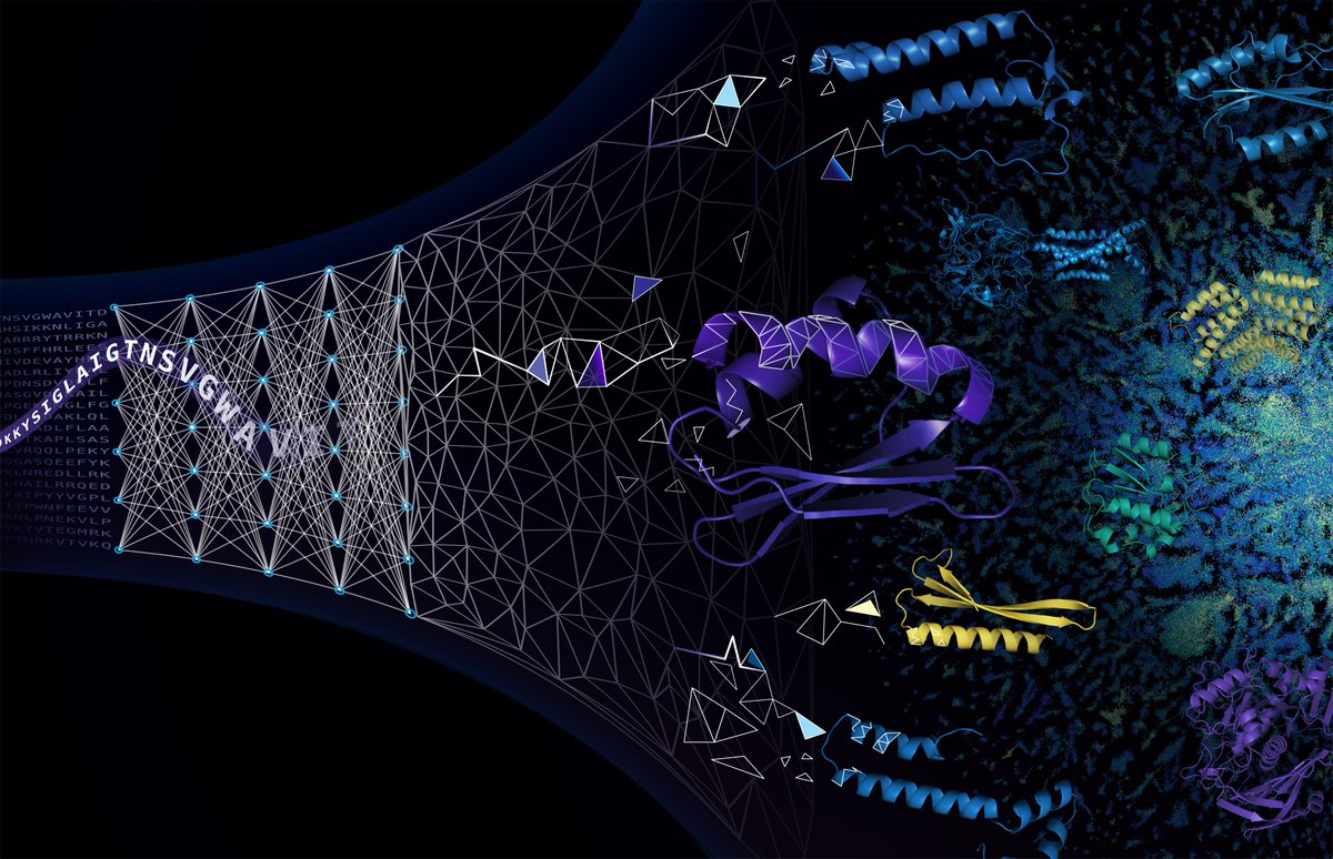 alexrives's tweet image. Metagenomic proteins are some of the least understood proteins on earth. Now with AI it is becoming possible to see deep into the structures of proteins and the incredible complexity of the natural world.

Published in today’s issue of @sciencemagazine. science.org/doi/10.1126/sc…