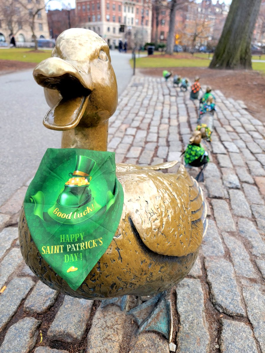 OnlyInBOS's tweet photo. Make Way for St. Patrick's Day.

☘️ https://t.co/8KQ5Kbj8VA