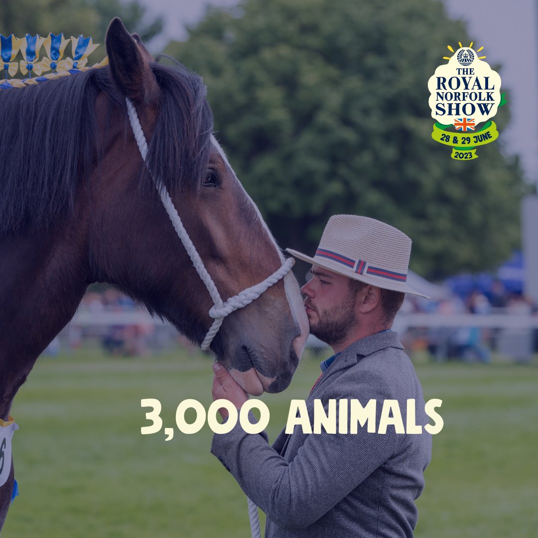 Royal Norfolk Show tweet media