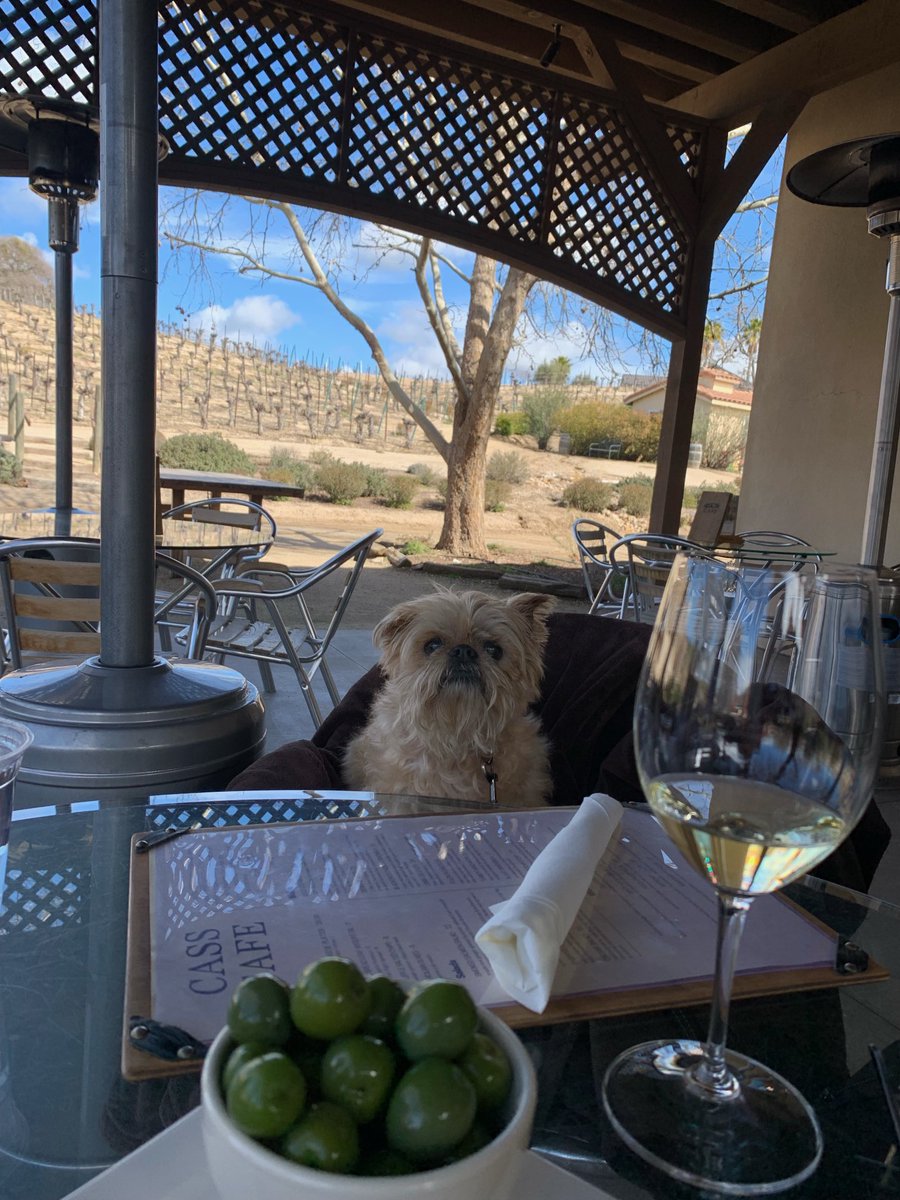 daveefreedom's tweet image. Willis enjoys lunch at Cass Winery in Paso Robles!