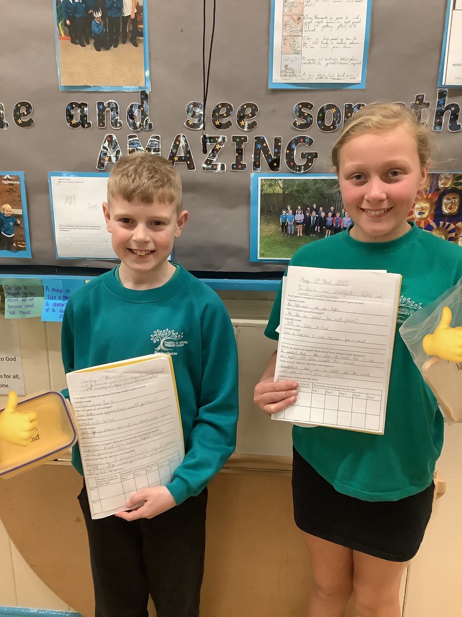 SiggsCEPrimary's tweet photo. Year 5&6 Badgers have been designing and setting up their microorganisms experiment as part of Science Week 2023. Our Badgerβs experiment is testing the effect of limited air on how microorganisms grow. #siggbadgers #ScienceWeek #siggscience https://t.co/od2usbT7A8