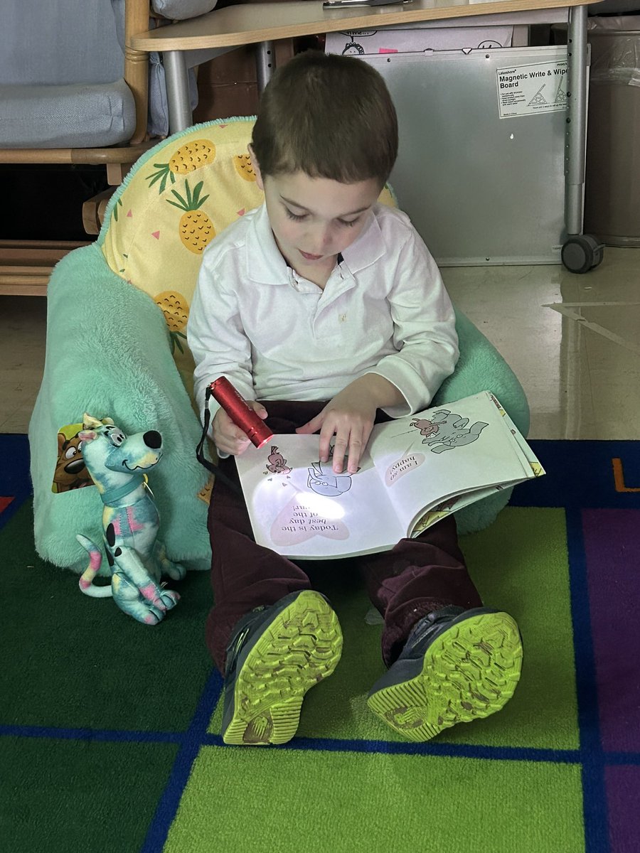 Ms Shein tweet media