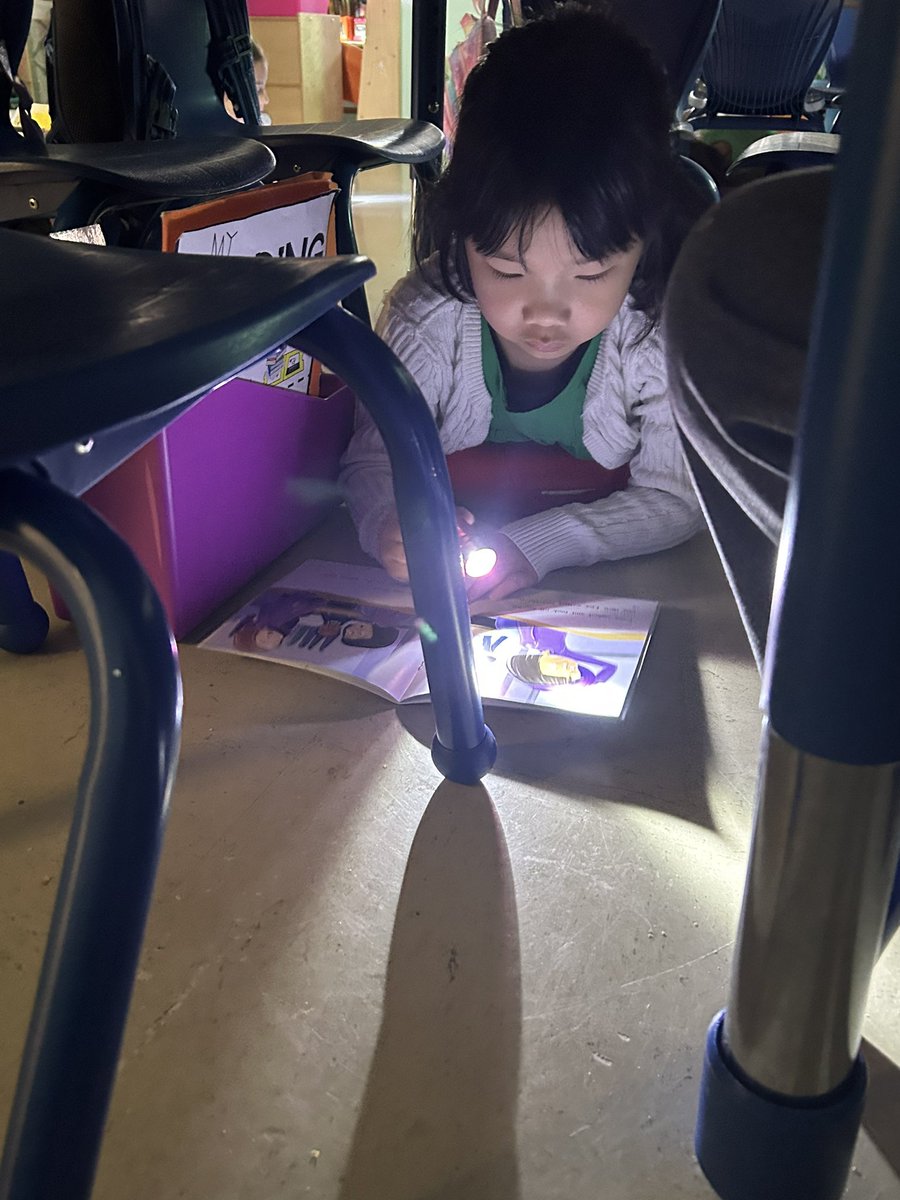 Ms Shein tweet media