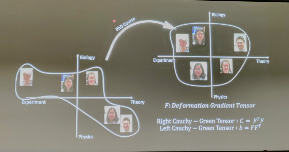 tzerhan29's tweet image. What @mpicbg @csbdresden students do on a Friday afternoon. #PhDcourse @lepuslapis @rita_d_mateus