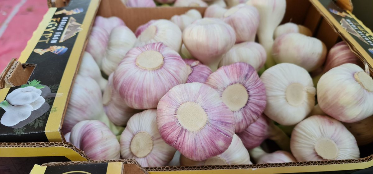 elbefruit's tweet photo. On Fridays we like to stay #FRESH ! Contact us for more info. regarding our #delicious &amp; #fresh Egyptian Garlic! https://t.co/5medEYPY8f