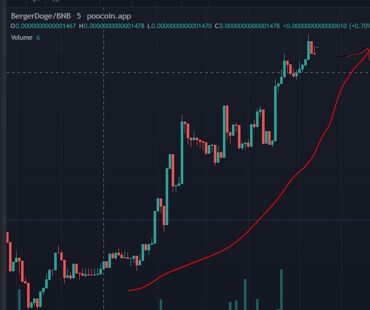 BergerDoge Coin tweet media
