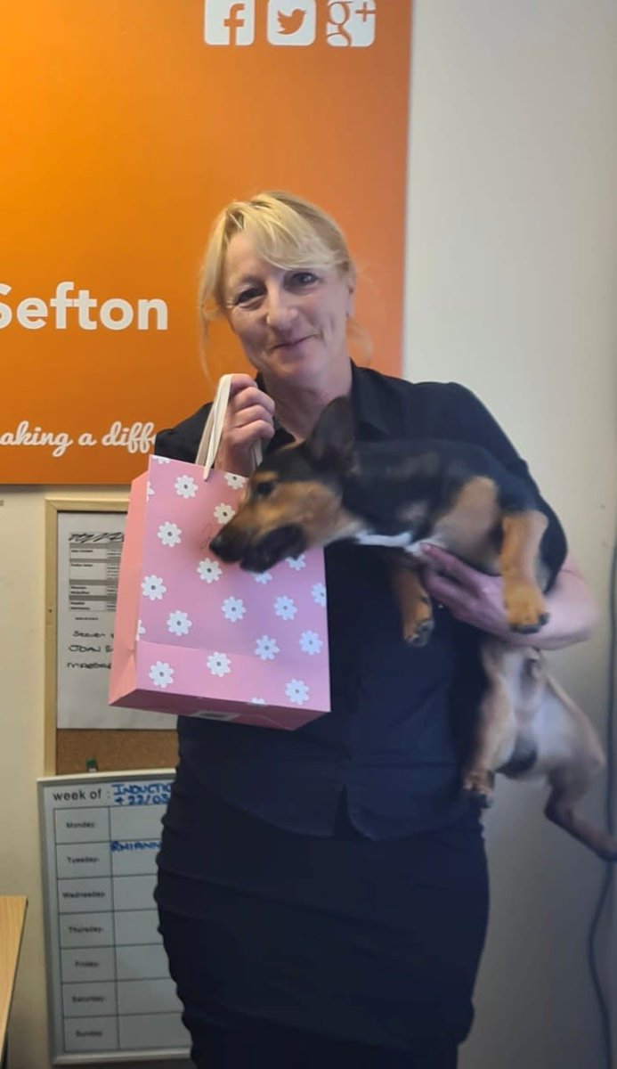 RaHSefton's tweet photo. Wishing our Registered Manager Shirley and Administrator Cathy a great day as they both celebrate their Birthdays over the weekend! 🥳🤩

We hope you liked your presents and gifts and don't forget to celebrate in style. 🎁💃

HAPPY BIRTHDAY!!! 🎉🎂🎈 https://t.co/0G8yIGLUk7