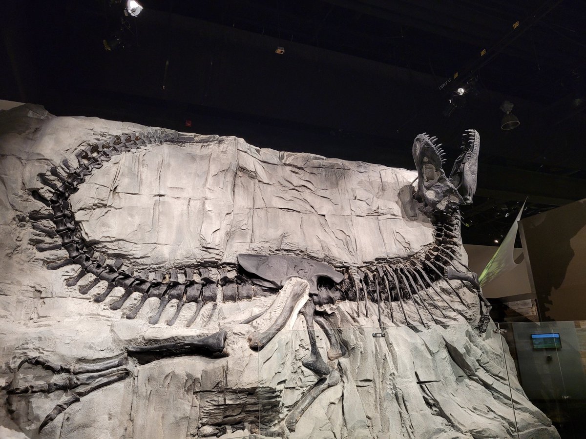 Phobodeimos's tweet photo. Went on a trip. Saw some dinos. It was cold af. https://t.co/D2og4QUOgf