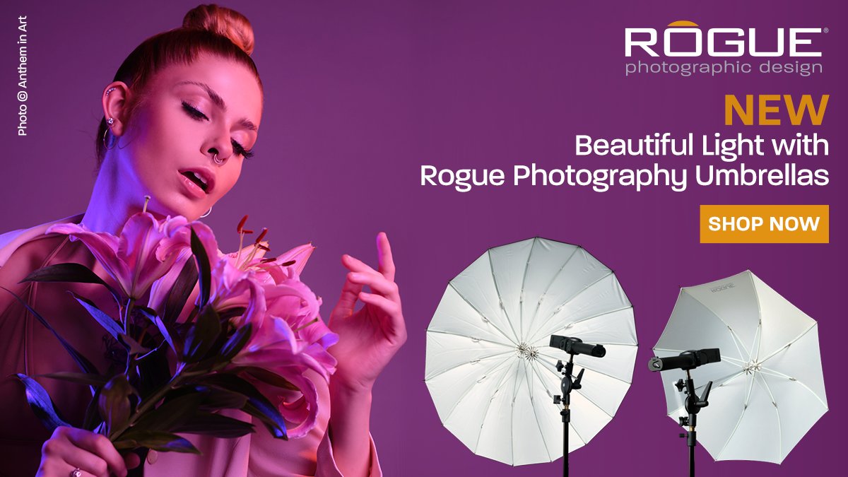 ColorConfidence's tweet photo. Introducing the new Rogue Umbrellas from @ExpoImagingUK!

Ideal for adventurous photographers wanting to gain consistent light, the Rogue Umbrellas meet the demands of travel and on-location shooting thanks to their durability and portability.

Shop now: https://t.co/Y81Ep9T82X https://t.co/5kZPbaoeEe