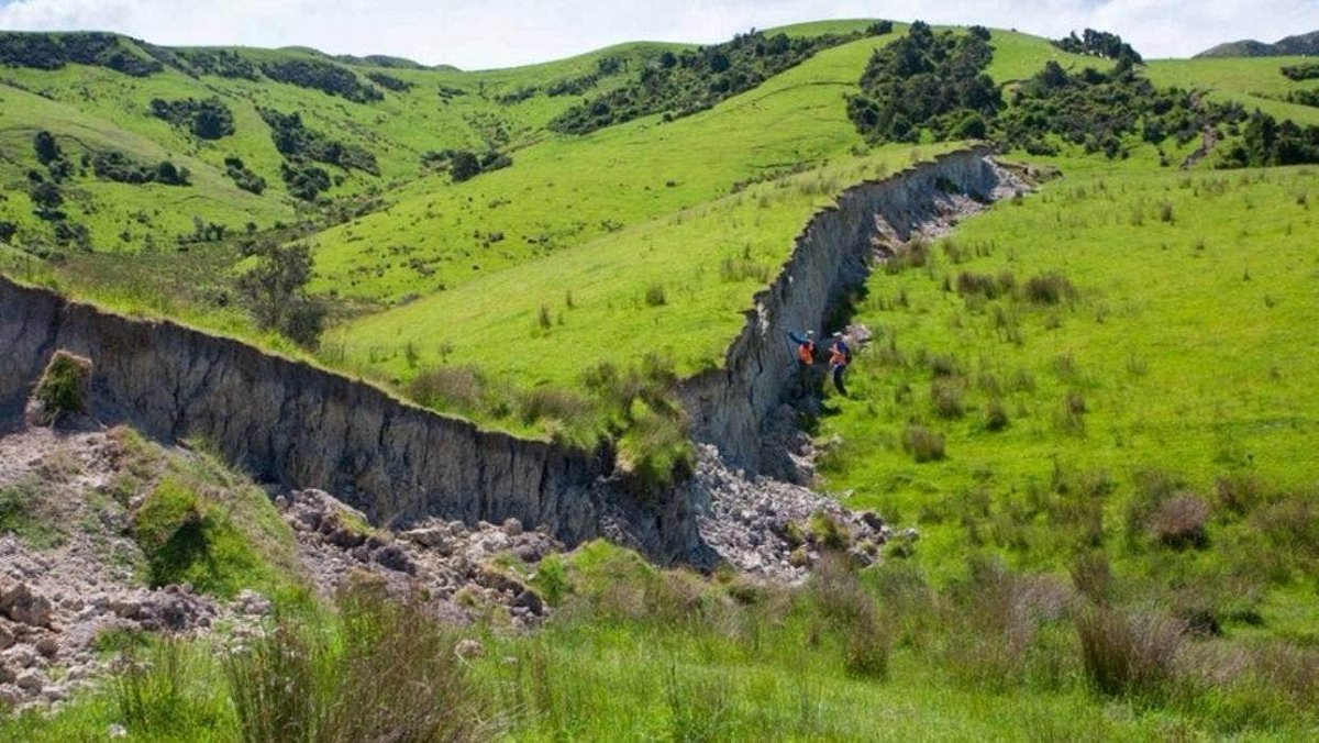 Paleosismolog's tweet photo. Dünyadan benzer iki #deprem örneği!
-13 fay üzerinde kırılma ve yırtılmaya yol açan 14 Kasım 2016 Kaikoura depreminde (Mw =7.8) 2 kişi hayatını kaybetti.

-6 fay üzerinde kırılma ve yırtılmaya yol açan 6 Şubat 2023 depremlerinde (Mw=7.8, Mw=7.6) 47 bin 975 kişi hayatını kaybetti. https://t.co/CrfPycsGGR