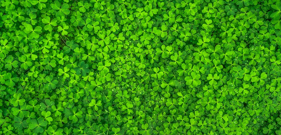 Happy St. Paddy’s Day from the CCG team! May the luck o’ the Irish be with you and yours. For some ideas to celebrate, including recipes for Irish favorites, check out this story from <a href="/WomansDay/">Woman's Day</a>: womansday.com/life/a4698/uni…
