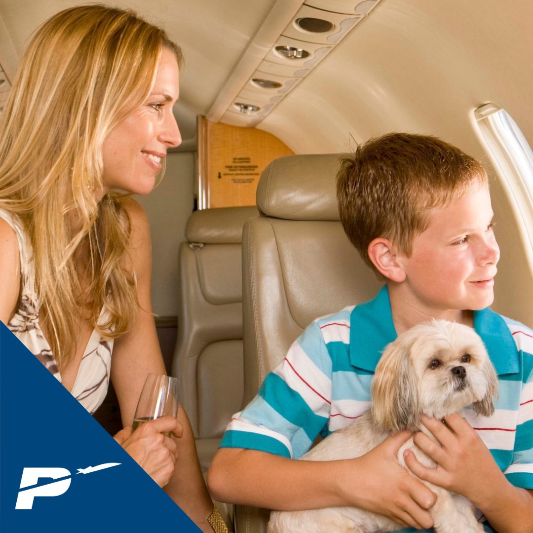 PriorityJet's tweet photo. Nothing compares to the freedom you feel when you fly private.   
✅ Choice of destination 
✅ Land closer to your destination
✅ Your pet can fly with you
✅ Set your own schedule 
✅ Privacy in the cabin 
Visit https://t.co/AcDpX9wZ2E to request your private jet charter today! https://t.co/d8GiCAYLwG