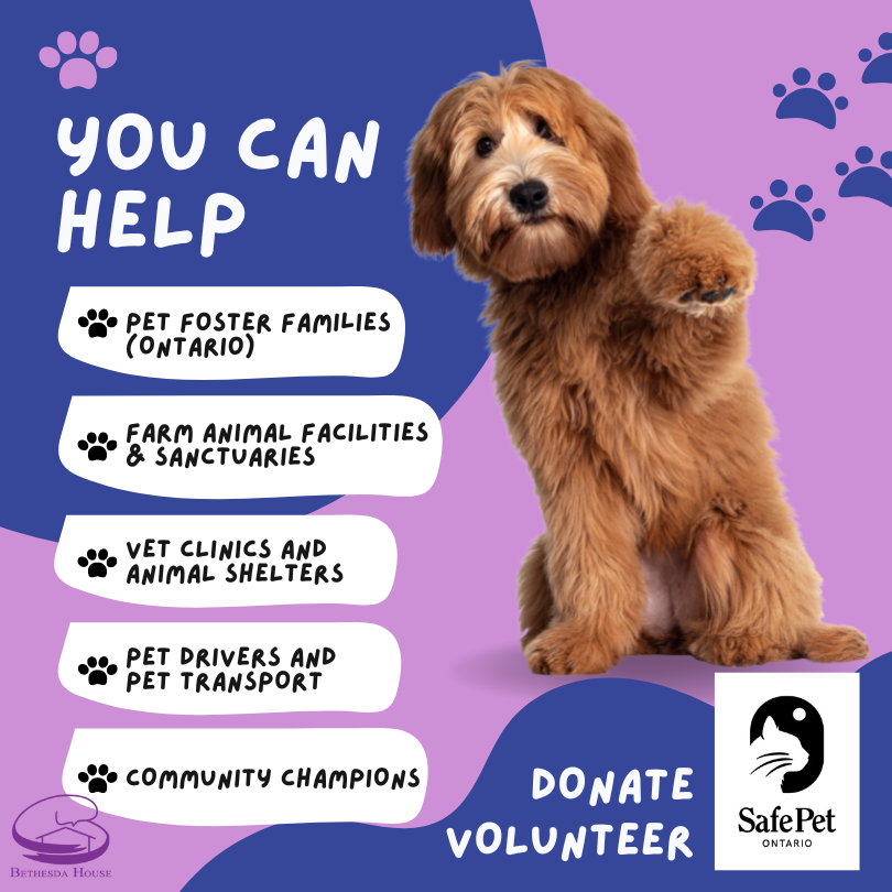 BethesdaHouseON's tweet photo. #SafePetOntario bridges a significant gap in the gender-based violence sector by offering pet-safekeeping service to survivors.

https://t.co/bPtOb1MsSc

#LoveShouldntHurt #PetsAreFamily #PetFriendly #DogFriendly #SafeSpace #PetsAreFamilyToo #SafePet #SafePetOntario #CatFriendly https://t.co/JURlD7CSL6