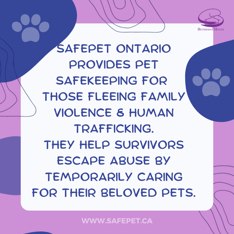 BethesdaHouseON's tweet photo. #SafePetOntario bridges a significant gap in the gender-based violence sector by offering pet-safekeeping service to survivors.

https://t.co/bPtOb1MsSc

#LoveShouldntHurt #PetsAreFamily #PetFriendly #DogFriendly #SafeSpace #PetsAreFamilyToo #SafePet #SafePetOntario #CatFriendly https://t.co/JURlD7CSL6