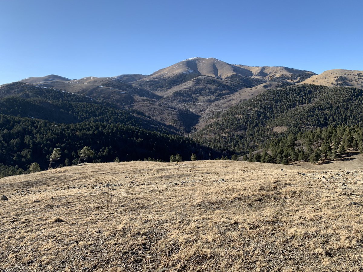NewMexicoLovee's tweet photo. Mountainous lands  on the Mescalero Apache Tribe located in Southern, New Mexico. 🌲❤️ #MescaleroApache #NewMexicotrue #LoveForMountains #GodsCountry https://t.co/m1j2PSrskm