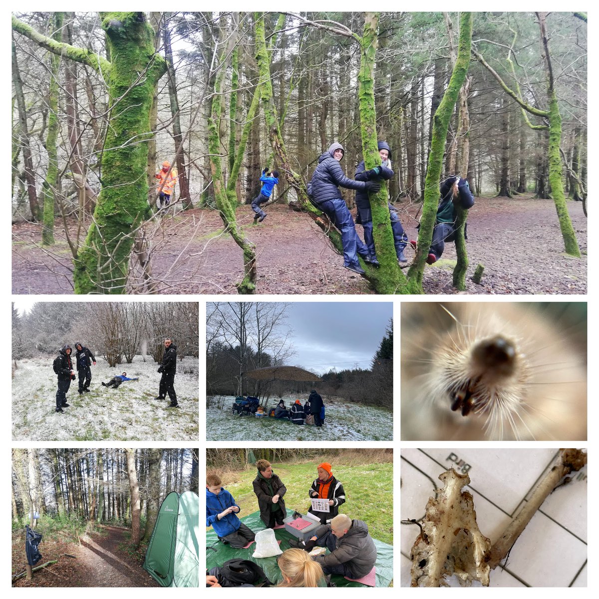 woodlandlearn's tweet photo. Good fun on week 4 of the Scottish Junior Forester Award @ScottishForesty with @GlenifferHigh. We investigated owl pellets and even managed to have a snowball fight. #naturerocks https://t.co/oTcJTMdGI1