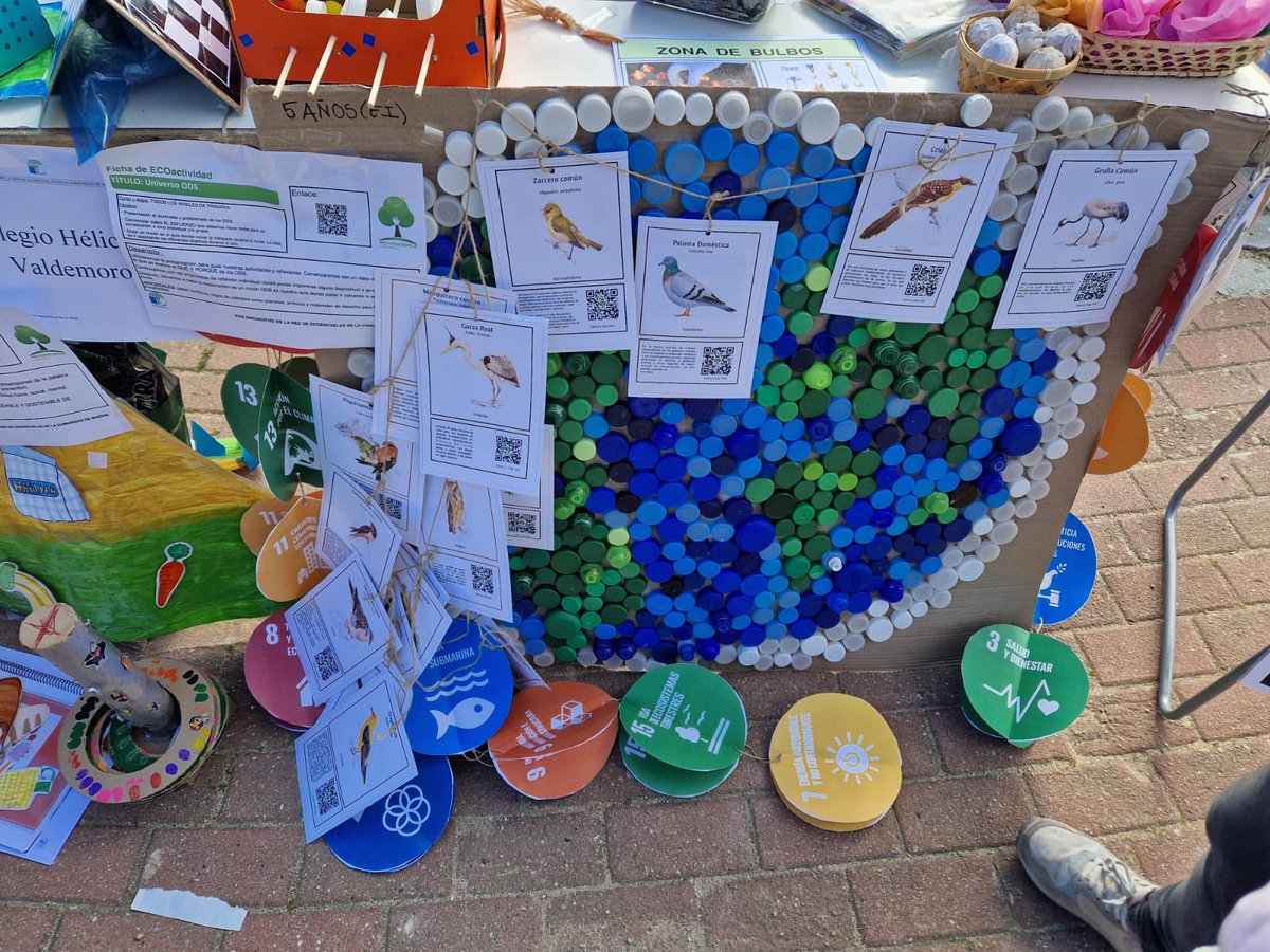 Colegio Ábaco tweet media