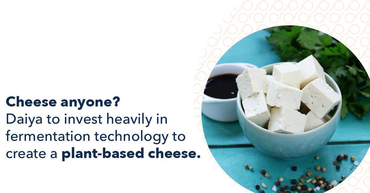 qtalent's tweet photo. Has @Diaya found a way to produce #plantbased #cheese using natural #fermination processing? Find out in the thread. https://t.co/a6hWS48IxQ
