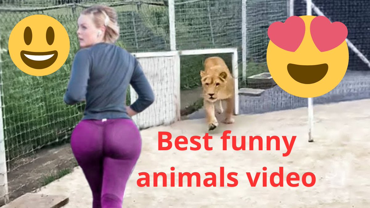 mohabata5's tweet photo. https://t.co/AhA6ez9f1c Funny video dogs and cats | Best funny animals video | Best 2023 https://t.co/U2FA6a2Skt