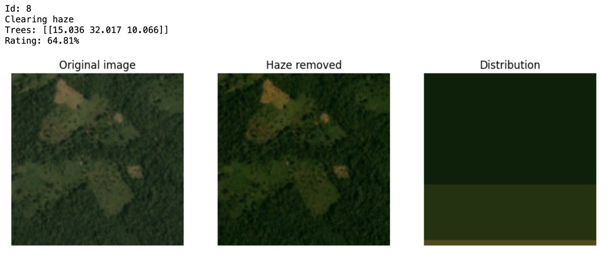 Here's a sneak peek of Arbon's current foliage detection. Our oracle network will be constructed to encourage continuous improvement. Oracles will compete for submitting more accurate carbon sequestration rates, incorporating type/density of foliage and soil carbon. #Grizzlython
