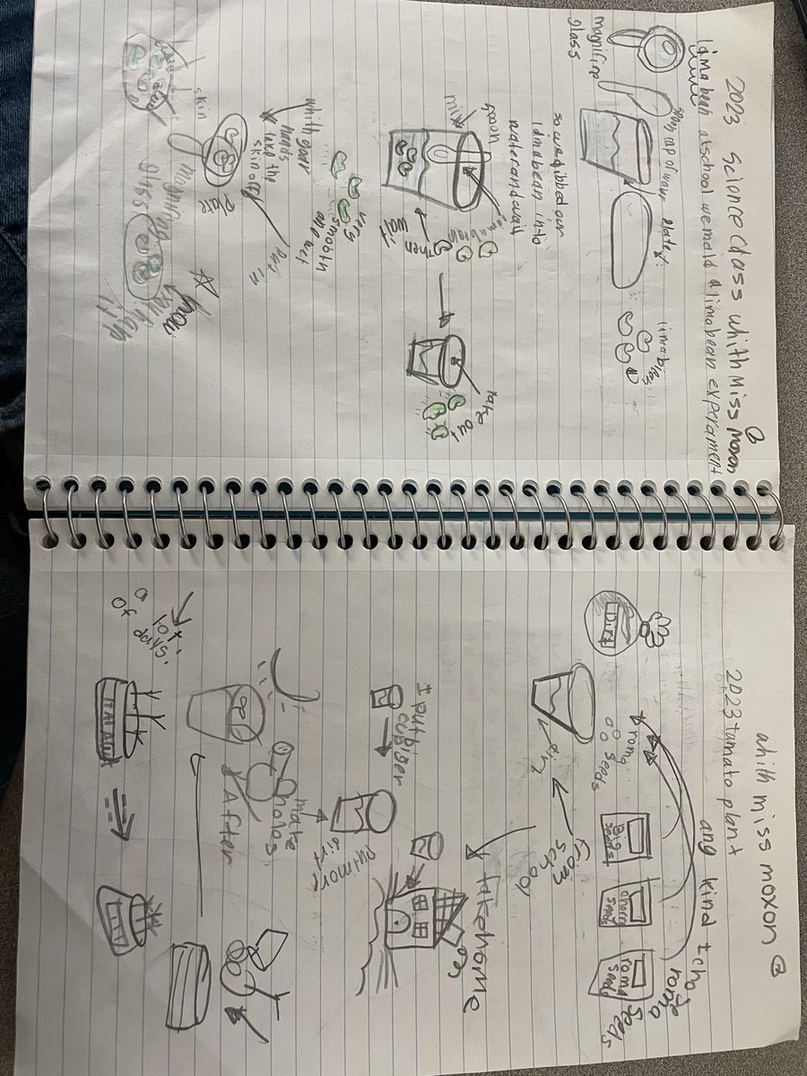 Scientists found evidence to support our claims about Lima beans growing into plants after our Lima bean dissection. <a href="/hillerwildcats/">Hiller Elementary | The Lamphere Schools</a> #wearelamphere