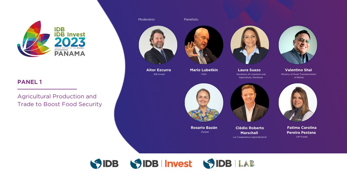 NOW | Join the live stream of our #IDBAnnualMeeting and listen to @BIDInvest y @...