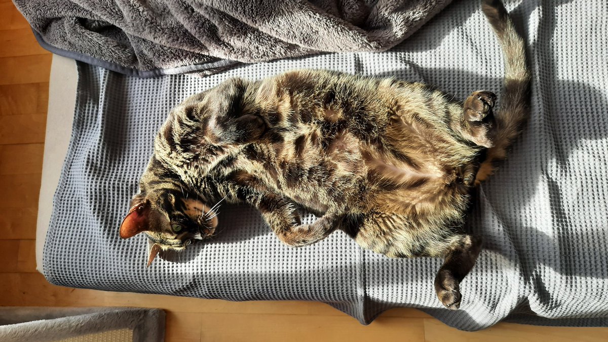 😍😍😍 Sonnenanbeter