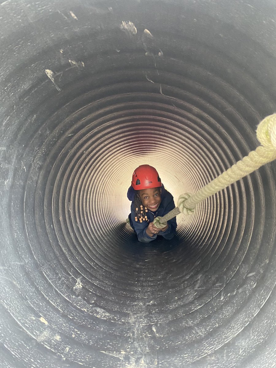 CedarFoxfield tweet media