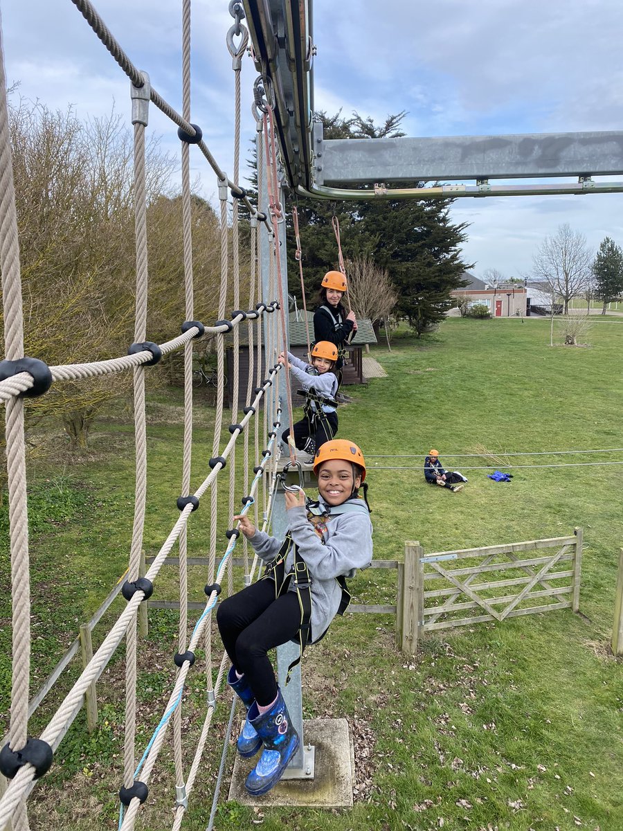 CedarFoxfield tweet media