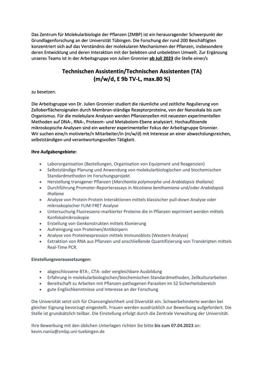 ZMBP (@zmbp_tuebingen) on Twitter photo We are hiring! We have an open position for a technical assistant (TA) in Julien Gronnier's lab <a href="/NanoSignaling/">Julien Gronnier</a>
We are looking for a motivated candidate with experience in #molecularbiology/#biochemistry. German and English are required. Deadline 7.4.2023
Please RT! #PlantSciJobs We are hiring! We have an open position for a technical assistant (TA) in Julien Gronnier's lab <a href="/NanoSignaling/">Julien Gronnier</a>
We are looking for a motivated candidate with experience in #molecularbiology/#biochemistry. German and English are required. Deadline 7.4.2023
Please RT! #PlantSciJobs