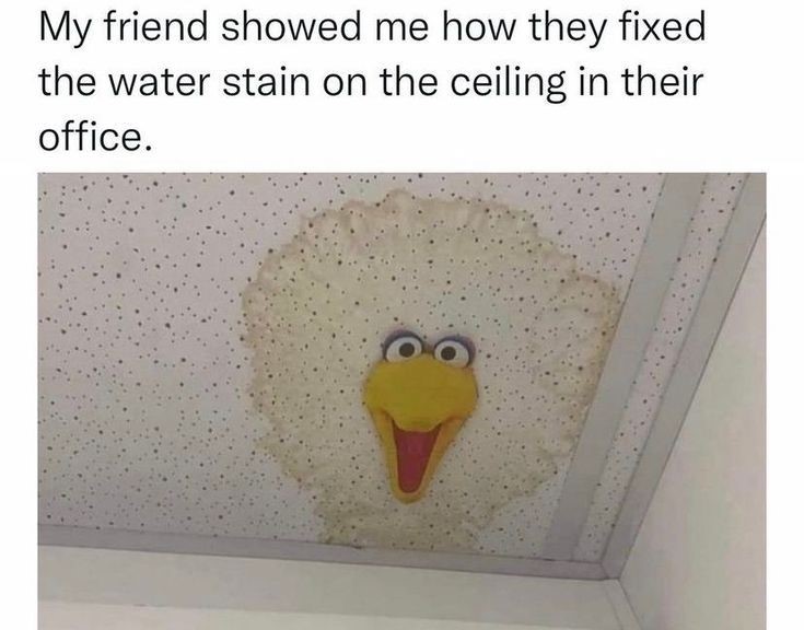 GabrielCarini1's tweet image. 🌧️There's no worse way to find out you have a leak, than after a bunch of rain 😂
.
.
.
.
.
.
.
.
#plumbingmemes  #sandiegoplumbers #PlumbersNearMe