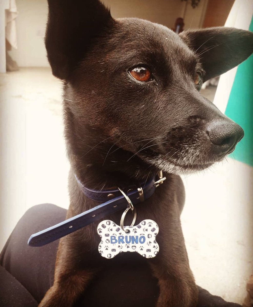 Bebito mío, te extraño!! 😢